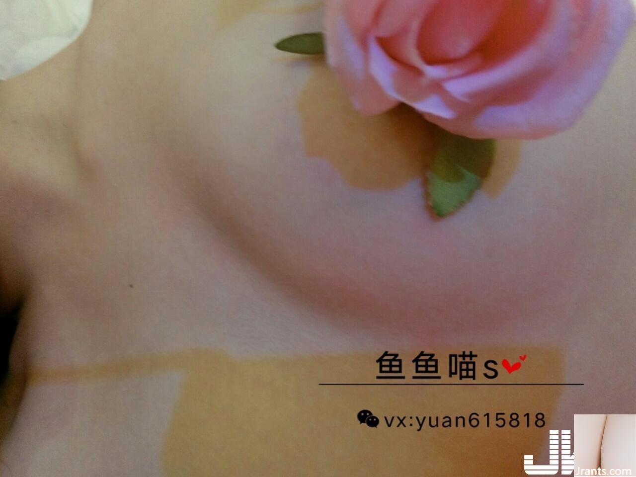 Yuyu Miao S – Portofolio Mawar 100 Yuan (58P)