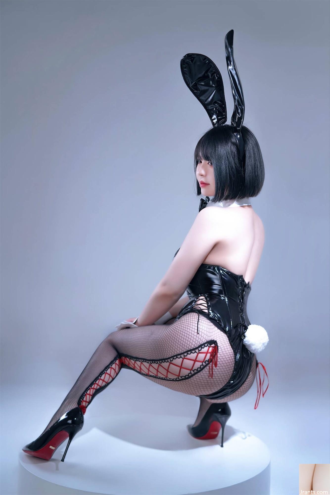 Wohlfahrtsmädchen halb Sohn „Black Net Bunny Girl“ VIP Exclusive[76P]