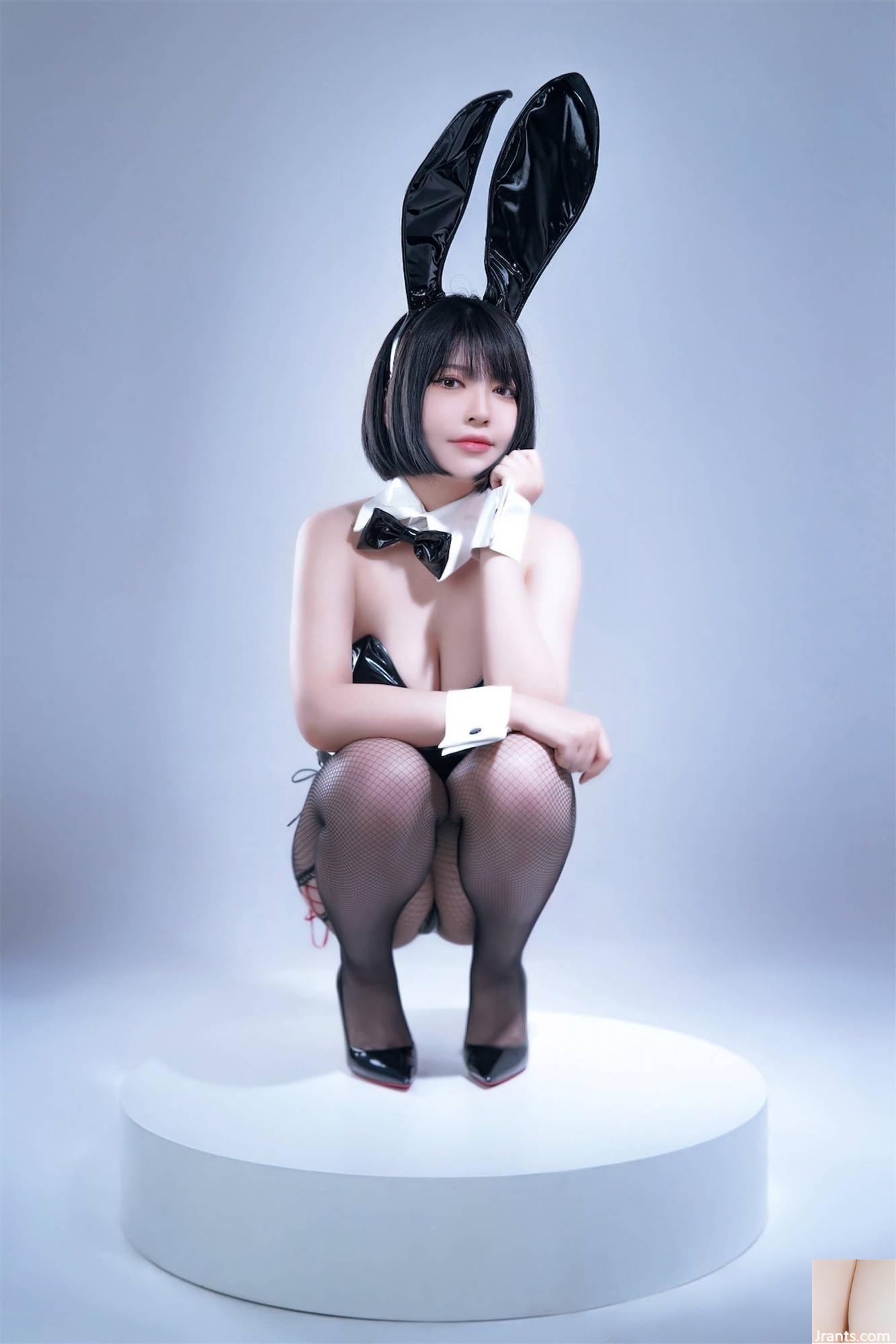 Wohlfahrtsmädchen halb Sohn „Black Net Bunny Girl“ VIP Exclusive[76P]