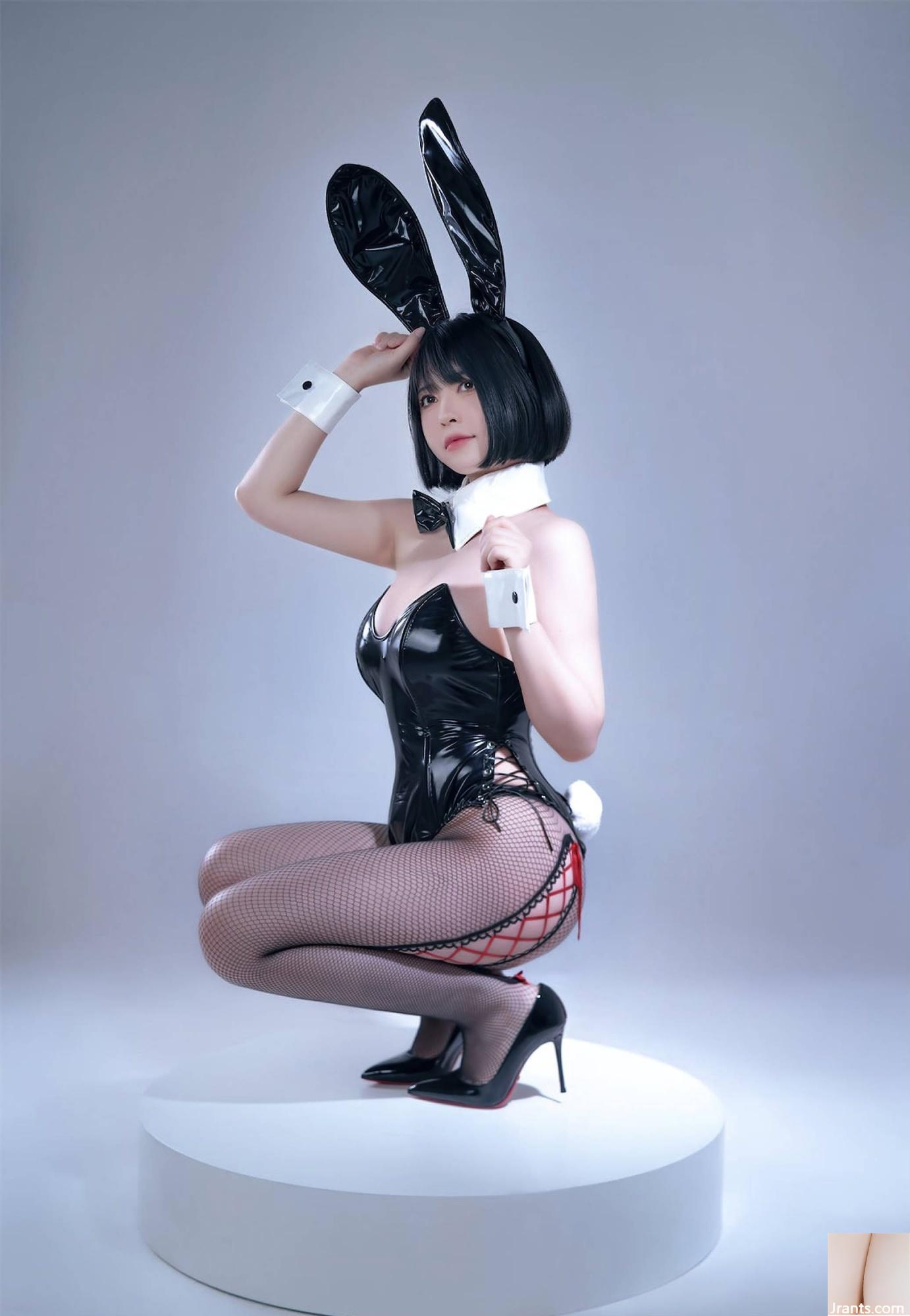 Wohlfahrtsmädchen halb Sohn „Black Net Bunny Girl“ VIP Exclusive[76P]