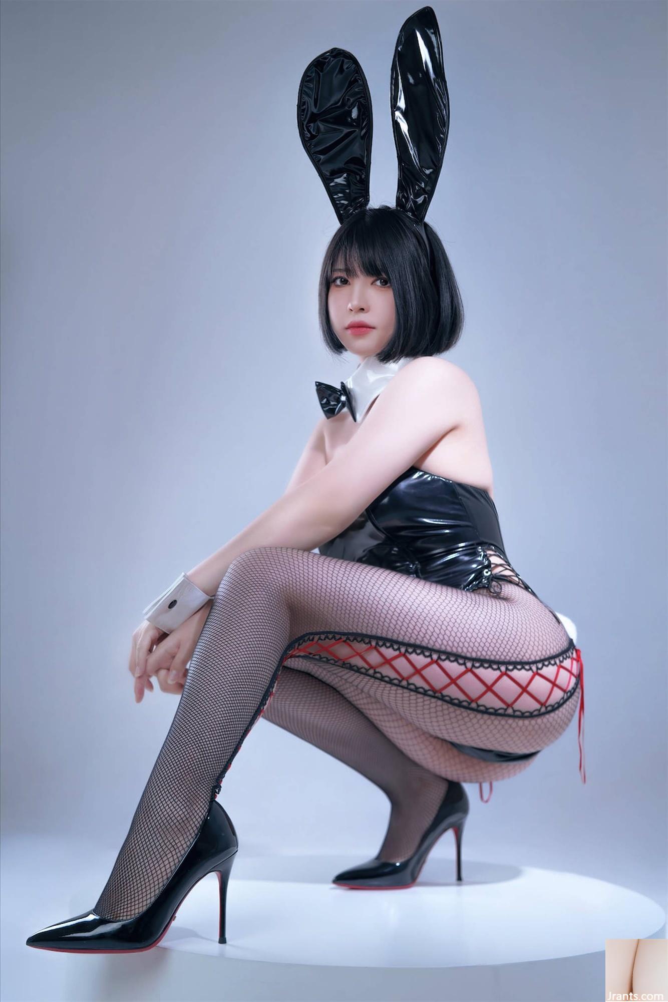 Wohlfahrtsmädchen halb Sohn „Black Net Bunny Girl“ VIP Exclusive[76P]