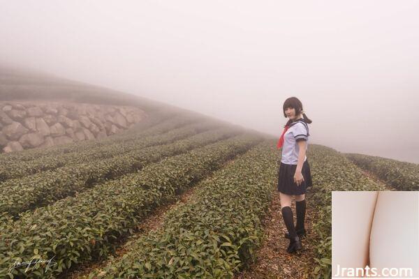 Xiao Ding Ding &#8220; Desire Tea Garden&#8221;  (40P)