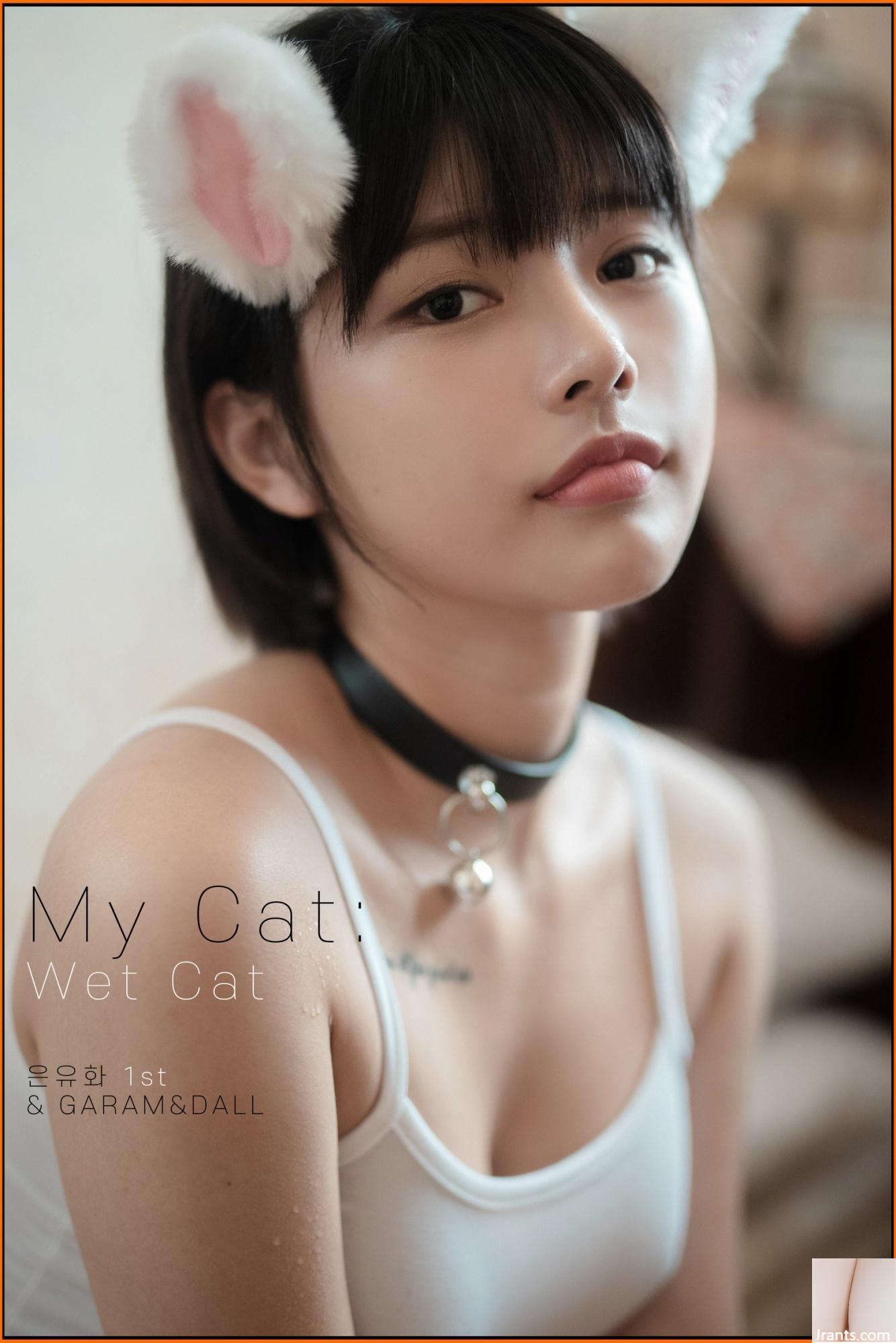 U.Hwa – Meu gato 2 (98P)