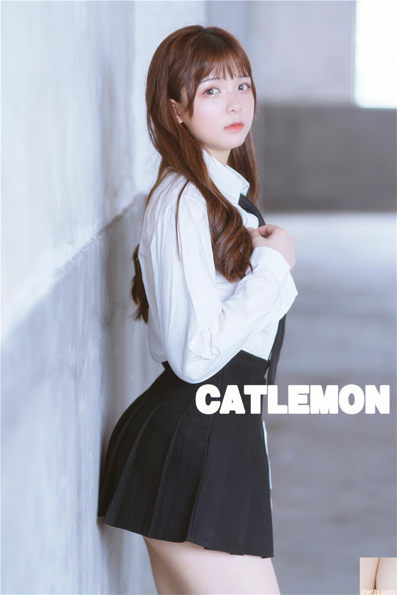 Catlemon – Ruinen (79P)