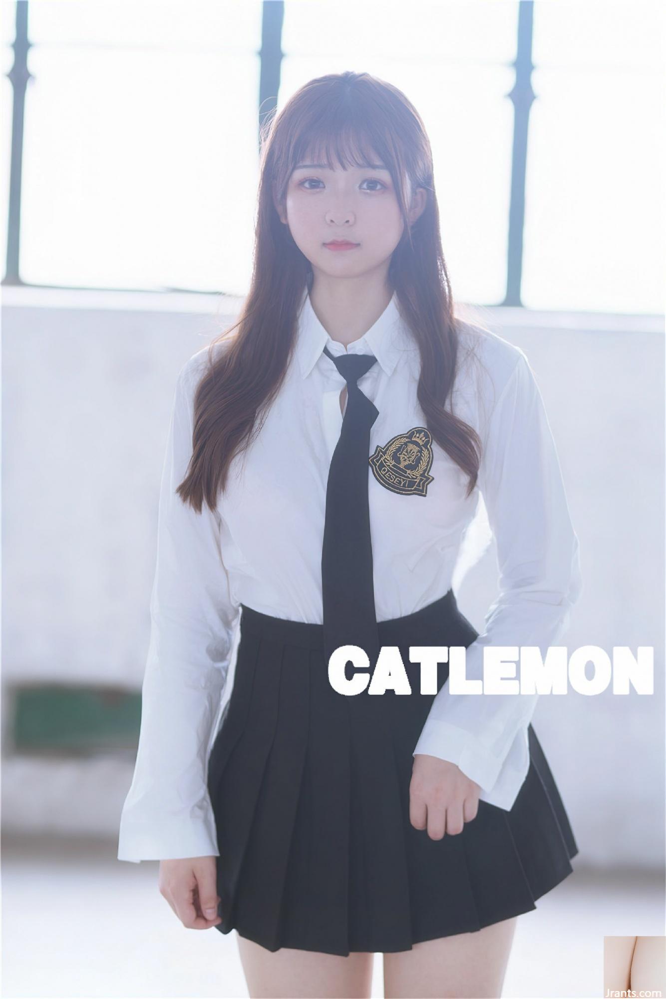 Catlemon – Ruinen (79P)