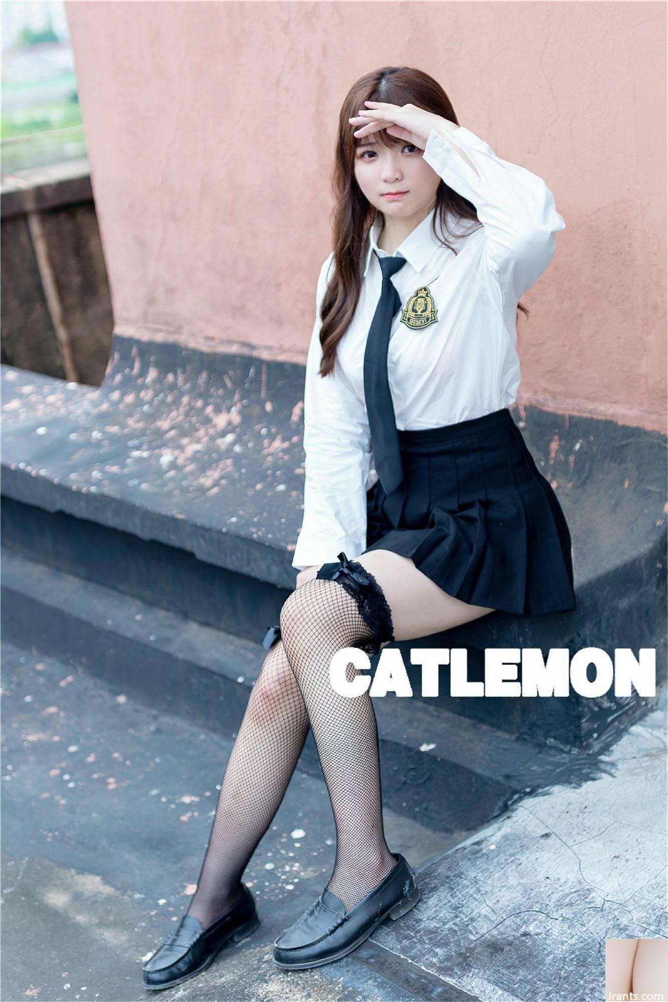 Catlemon – Ruinen (79P)