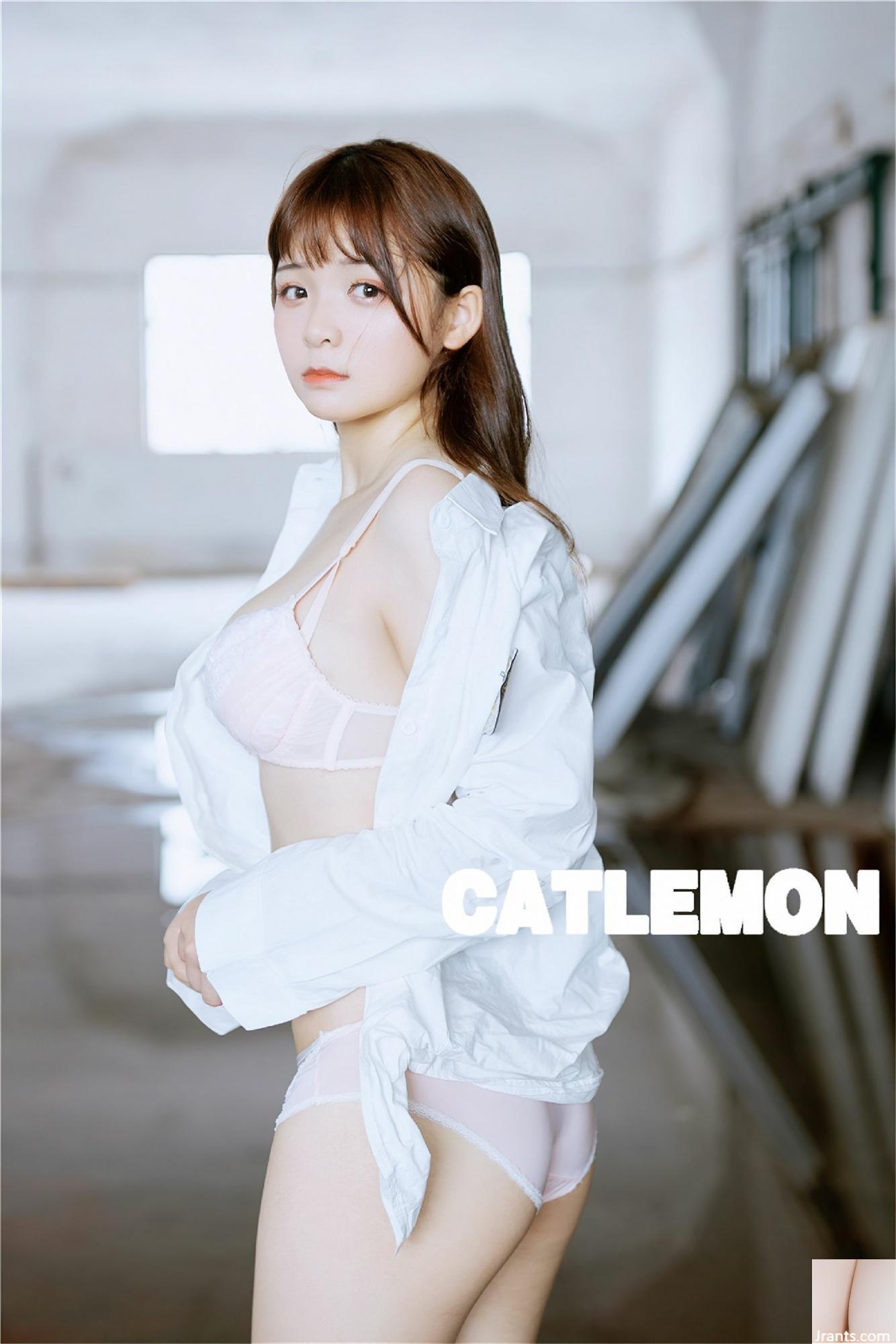 Catlemon – Ruinen (79P)