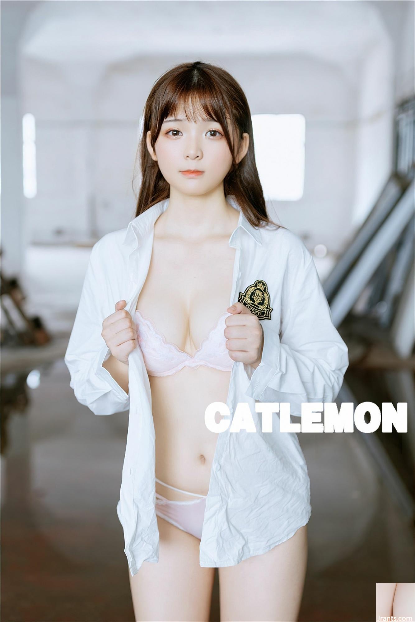 Catlemon – Ruinen (79P)