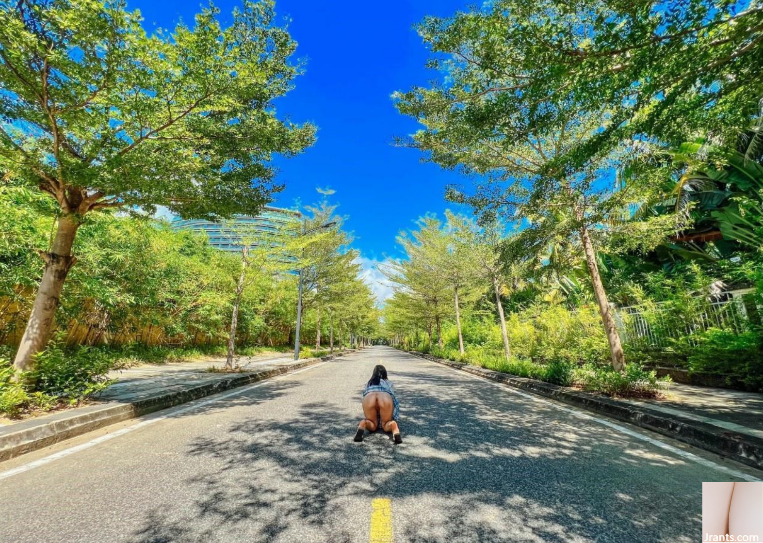 [인터넷 수집]복지 소녀 귀여운 &#8220;S 급 몸매와 화려한 엉덩이를 가진 트위터 여신의 개인 사진&#8221;(후편) (88P)