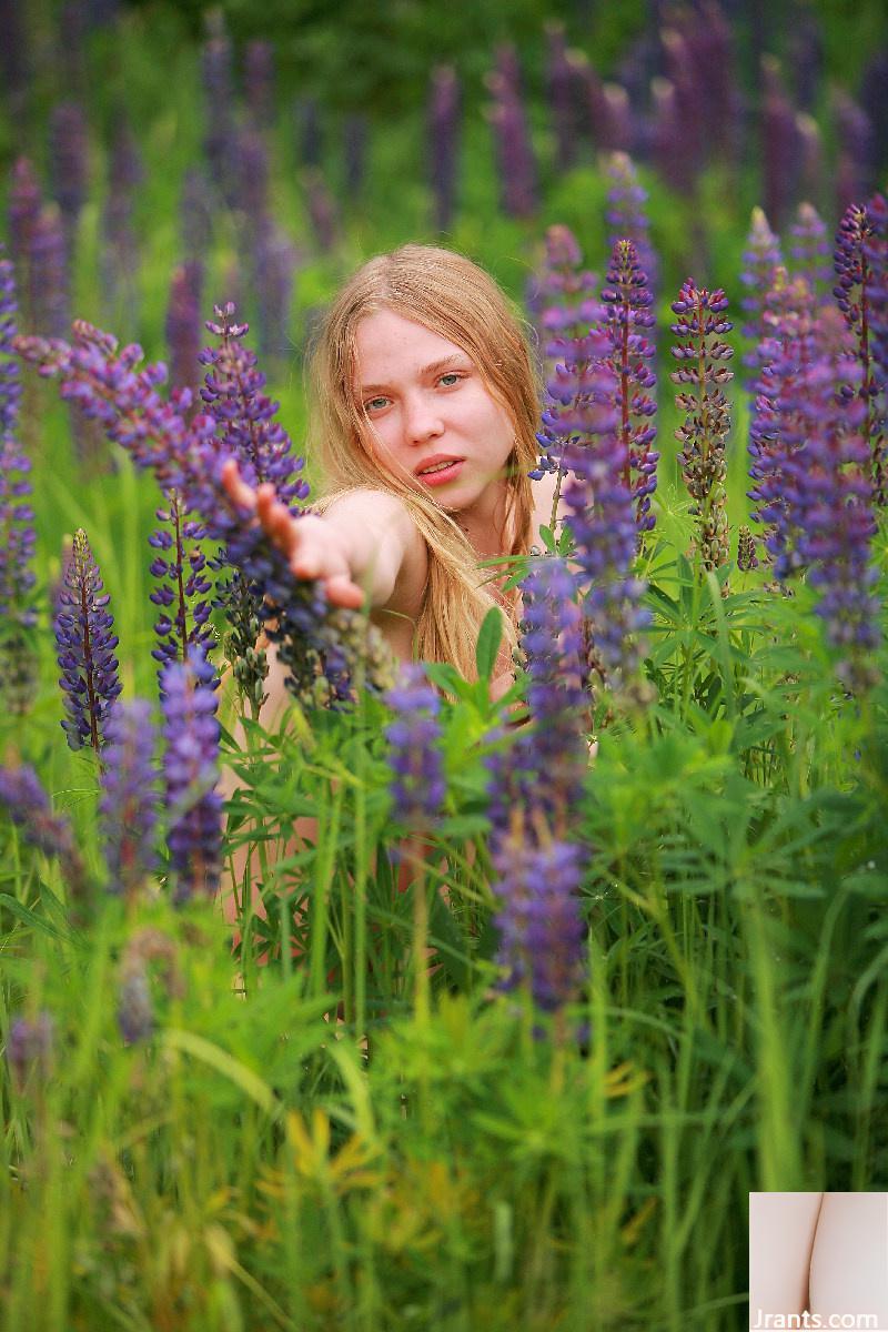 Polly – Blumenkinder (90P)