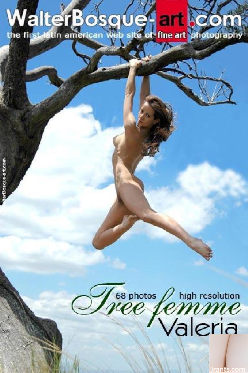 Valéria – Tree Femme (70P)