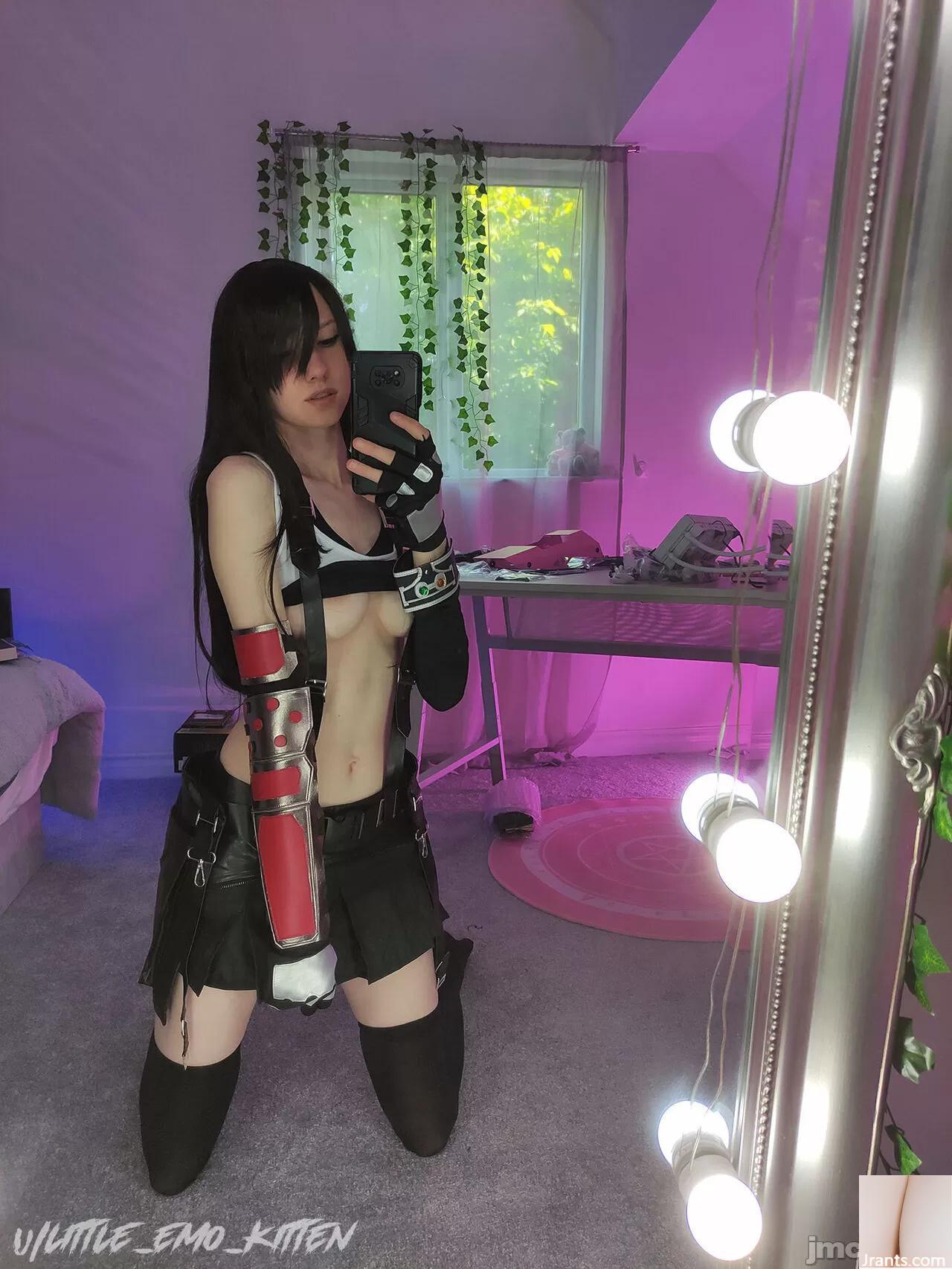 (Pequeño gatito emo) Tifa Lockhart (129P)