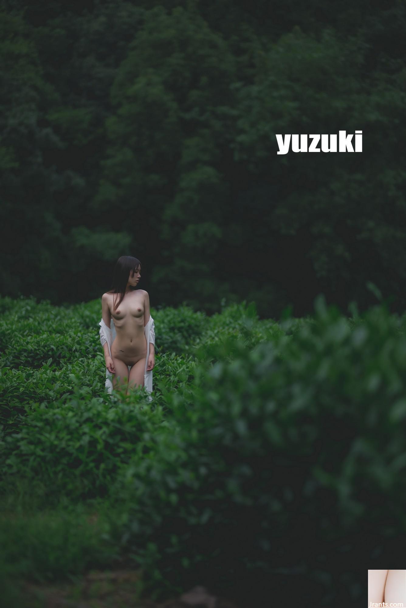 (Bellissimo album fotografico) La migliore foto YUZUKI in teak esposta all&#39;aperto (32P)