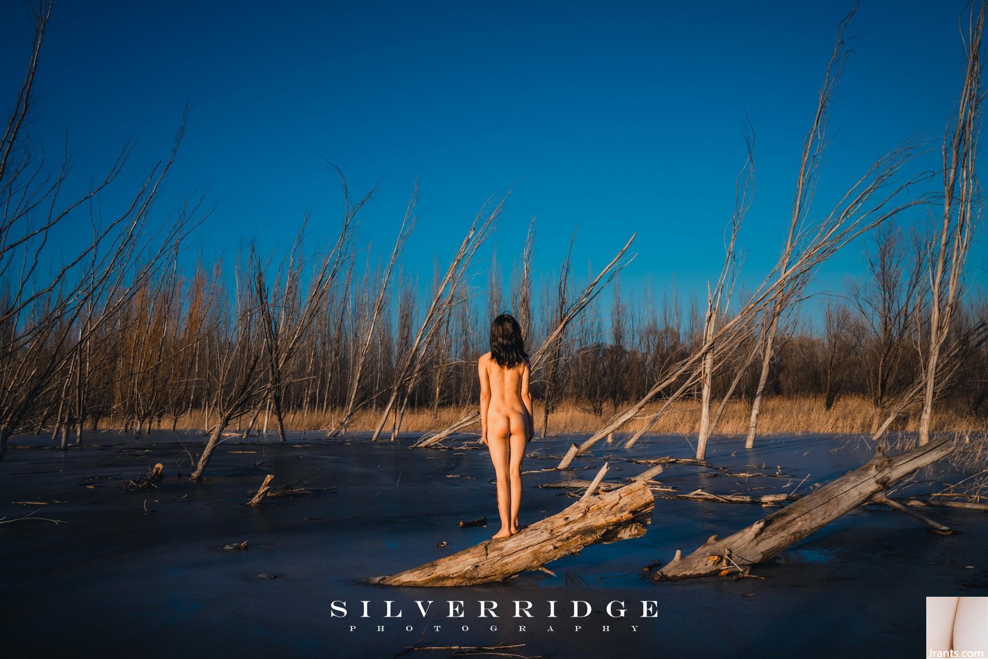 (Online-Sammlung) Photographer-SliverRidge Beautiful Model Photography Collection (106P)