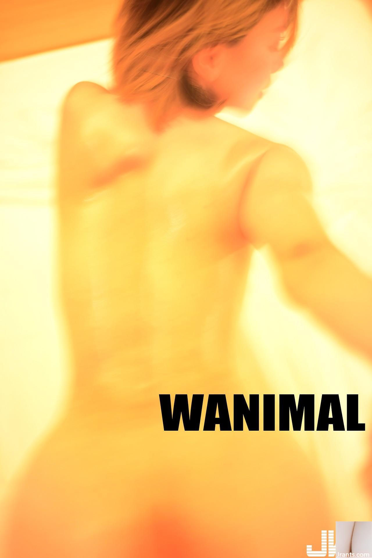 (Resmi diproduksi oleh Wang Dong WANIMAL) Kumpulan foto tersebar versi Tumblr dari September hingga November 2017 No.7 (34P)