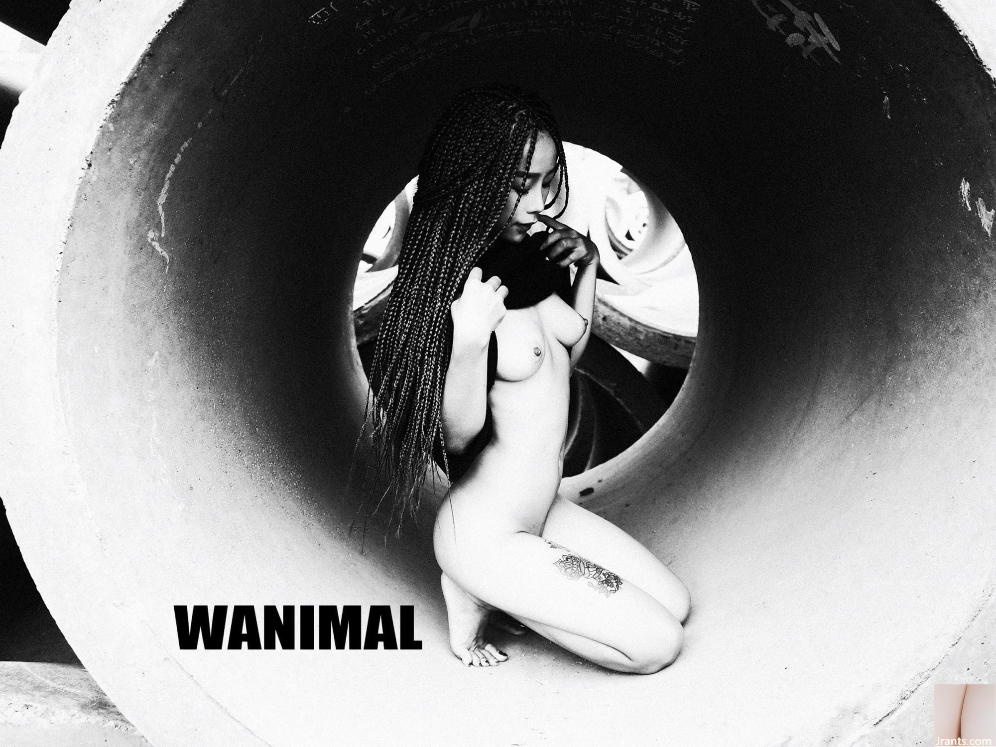 (WANIMAL Wang Dong) 2017. Foto VIP Mei (Versi Lengkap) 1 (78P