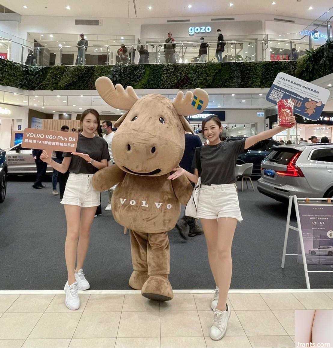 belle fille au salon de l&#39;automobile