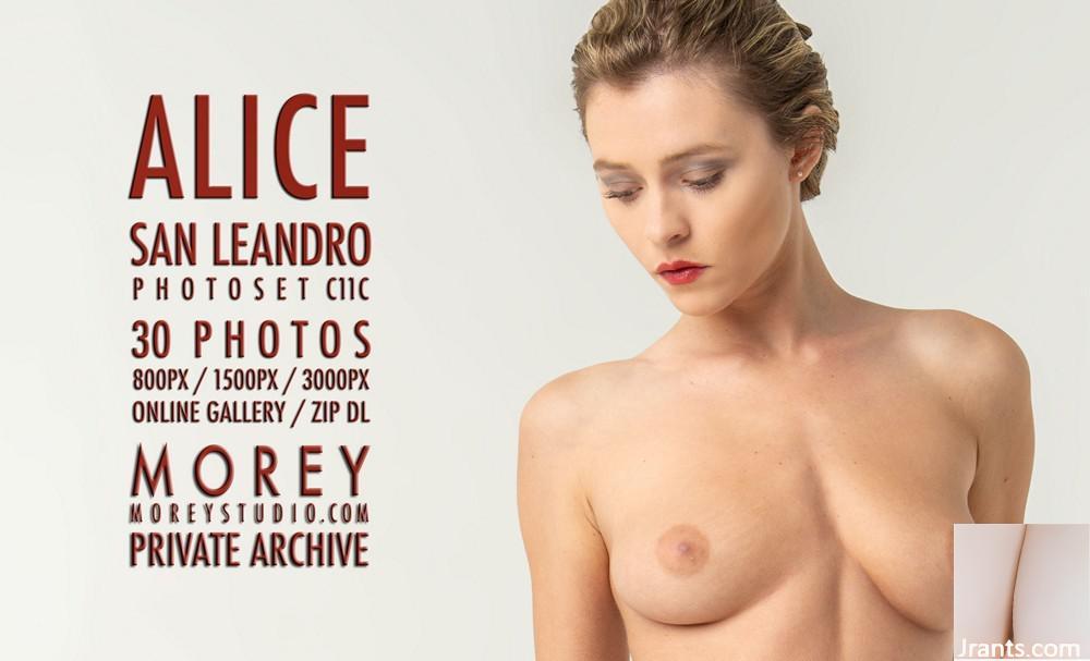 (Morey Studio) 11. April 2024 – Alice – C11C (30P)