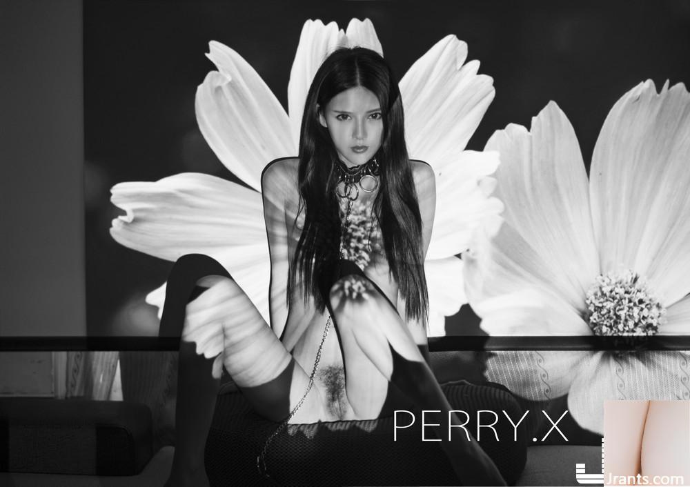 (ألبوم صور Meimei) أعمال التصوير PERRY.X (1) (80P)