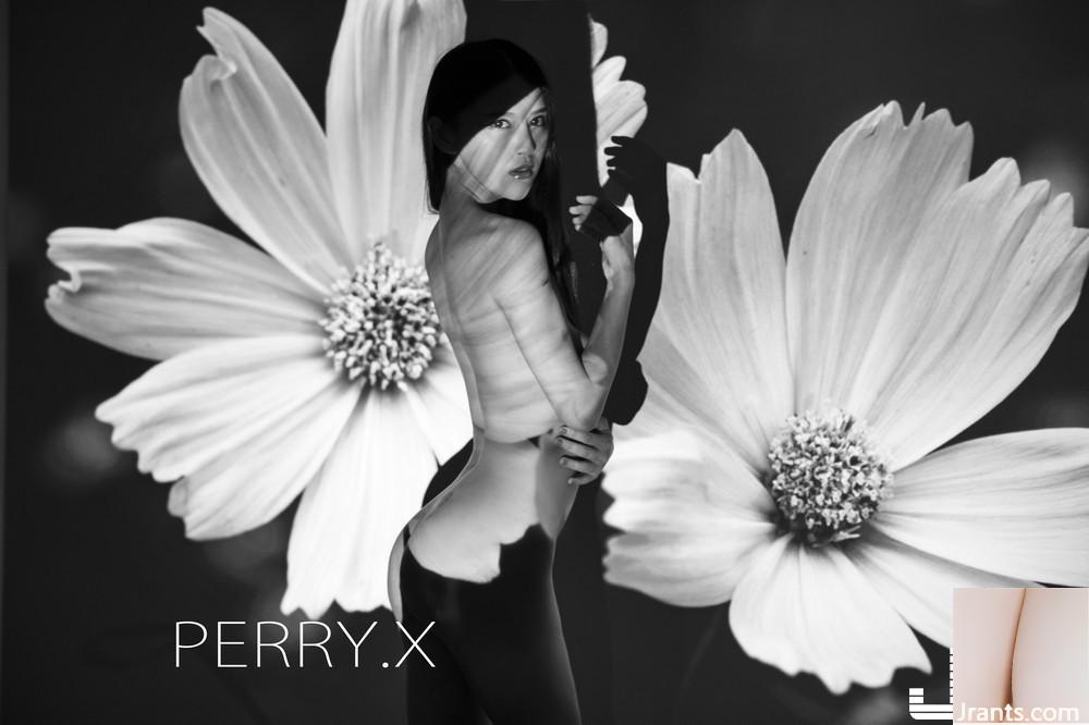 (ألبوم صور Meimei) أعمال التصوير PERRY.X (1) (80P)