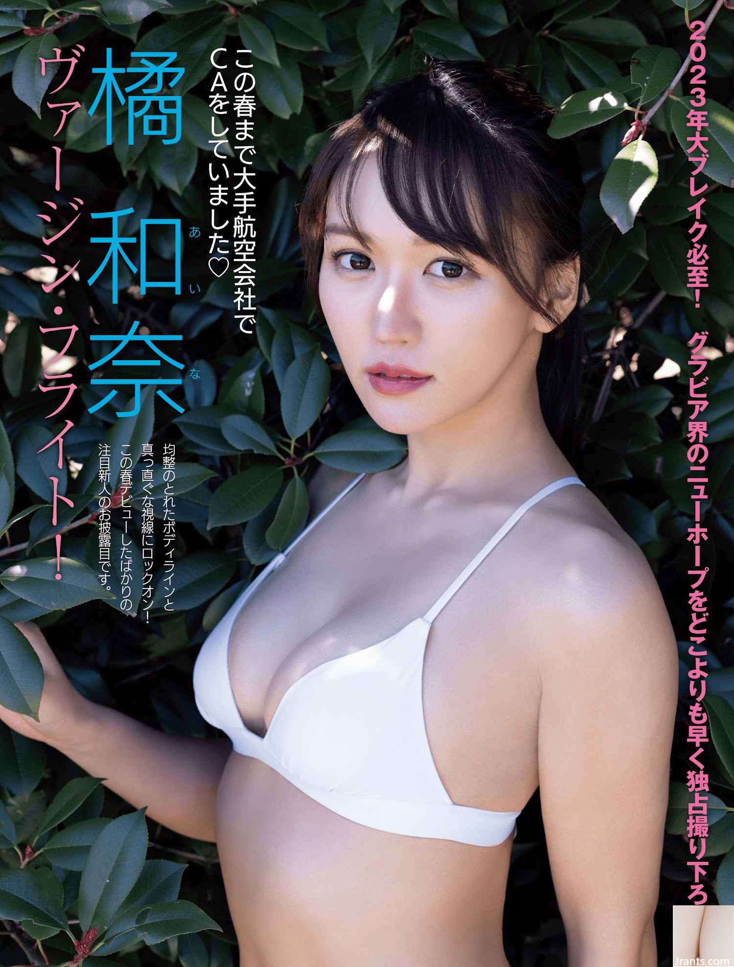 Ai Shinozaki (VENERDI) 18/01/2023 Tuffati nel tesoro nazionale (67P)