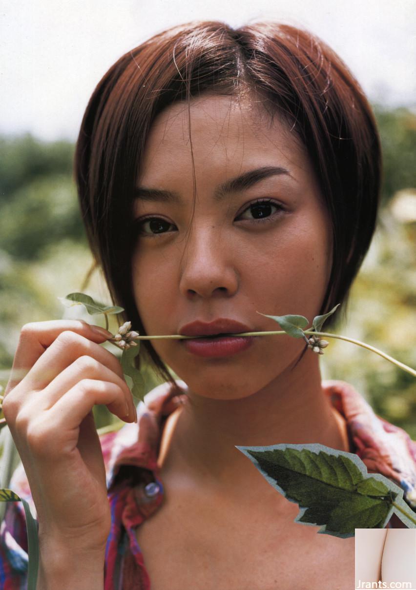 Reina Asami (Reina Asami) (Colección de fotos) (Serie mensual 072) – Mensual 072 (90P)