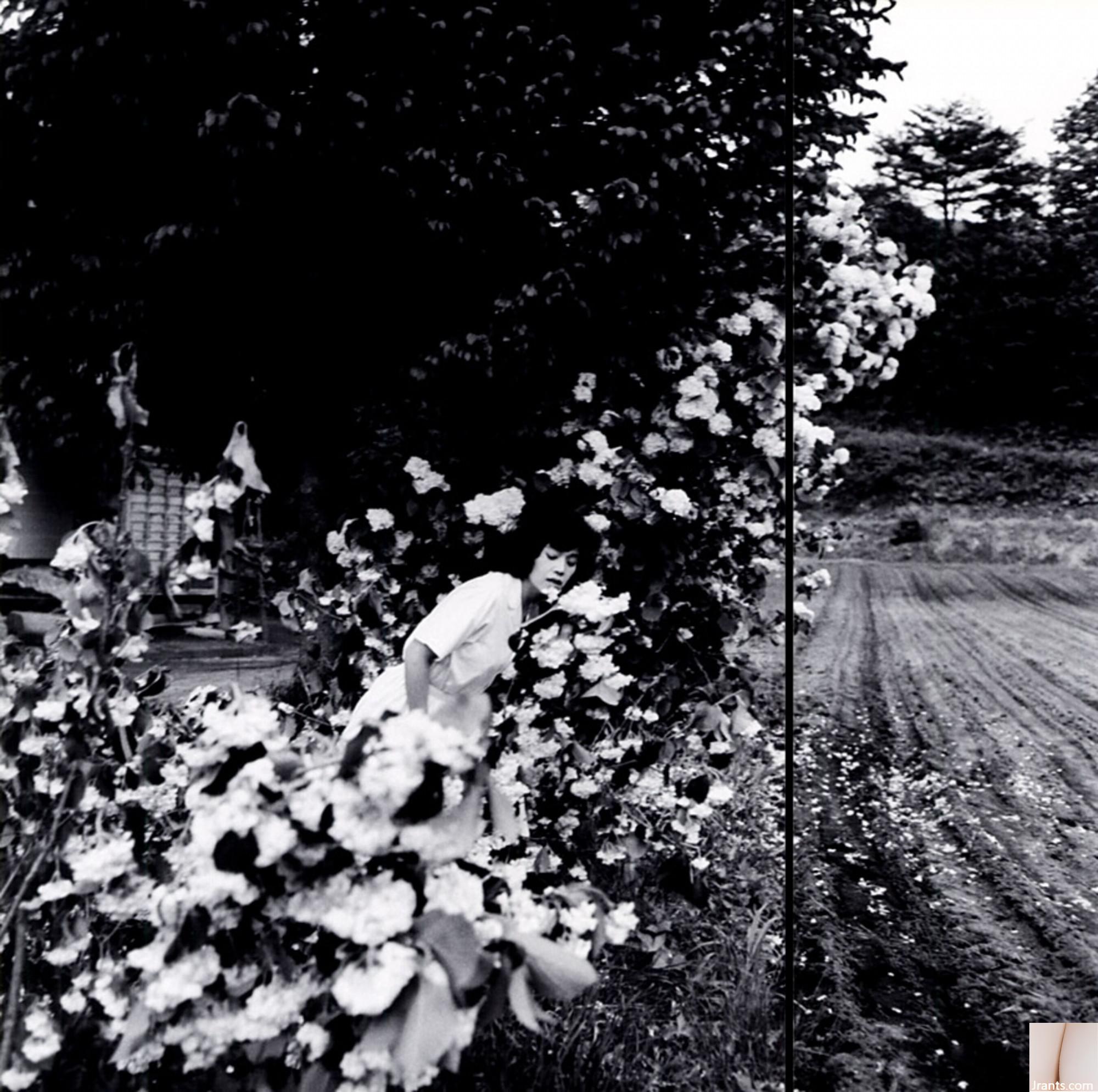 Shinobu Otake &#8220; Light of The Dark&#8221;  (1993.2) (54P)