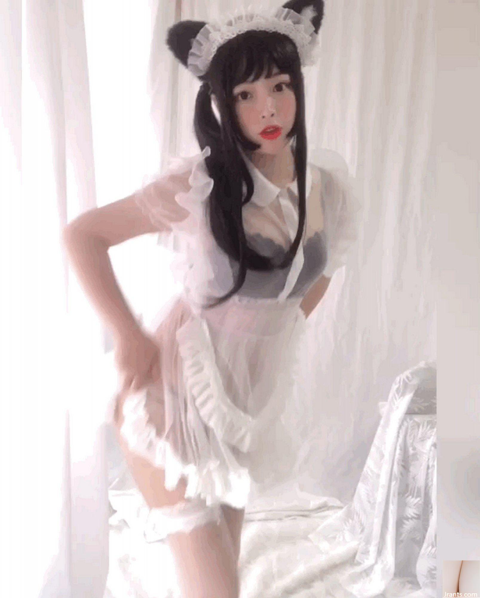 (Collection en ligne) Exclusivité VIP « White Cat Transparent Maid » de la fille du bien-être social Bai Ye (91P)