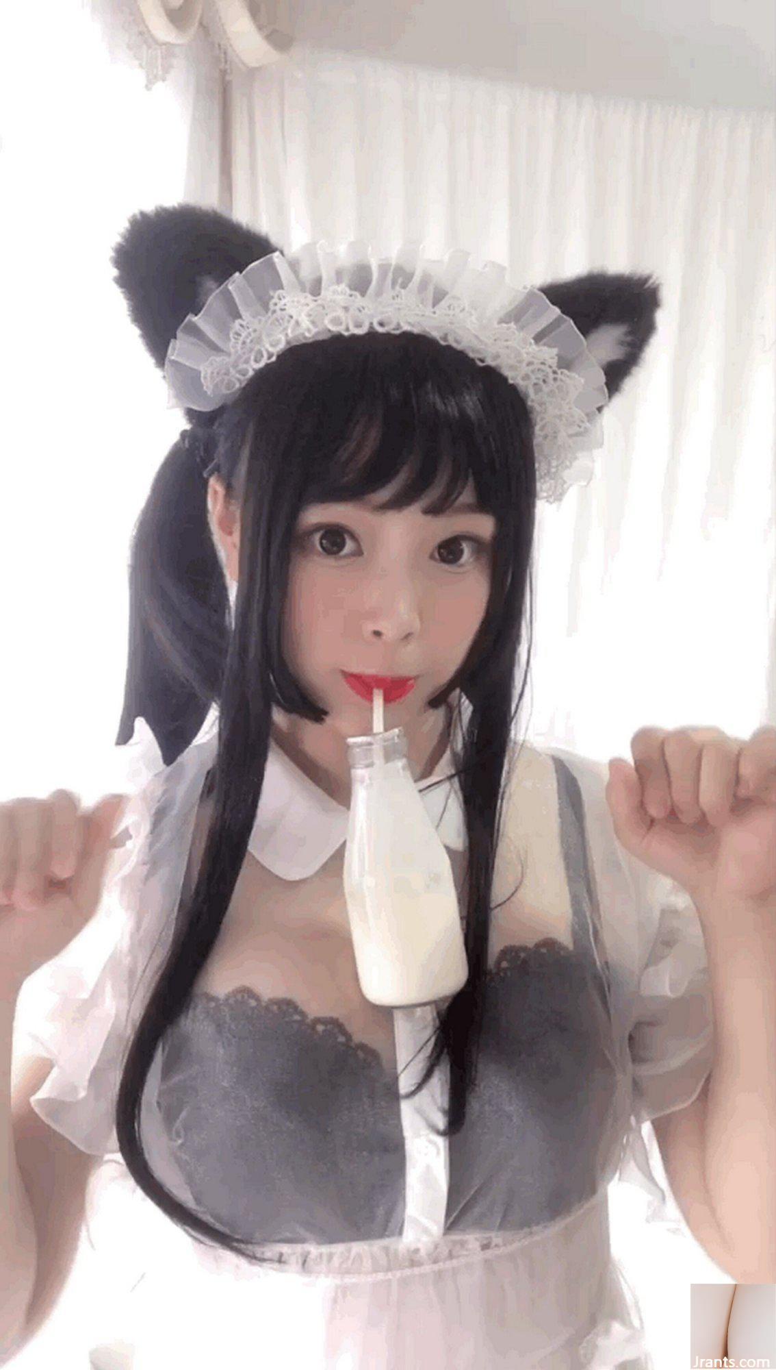 (Collection en ligne) Exclusivité VIP « White Cat Transparent Maid » de la fille du bien-être social Bai Ye (91P)